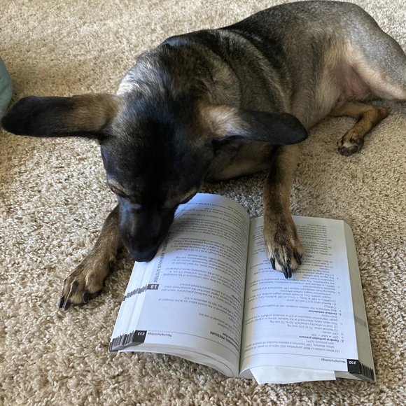 Meet your Poshers Beth & Sophie ๐ธ๐พ - Picture 6 of 8